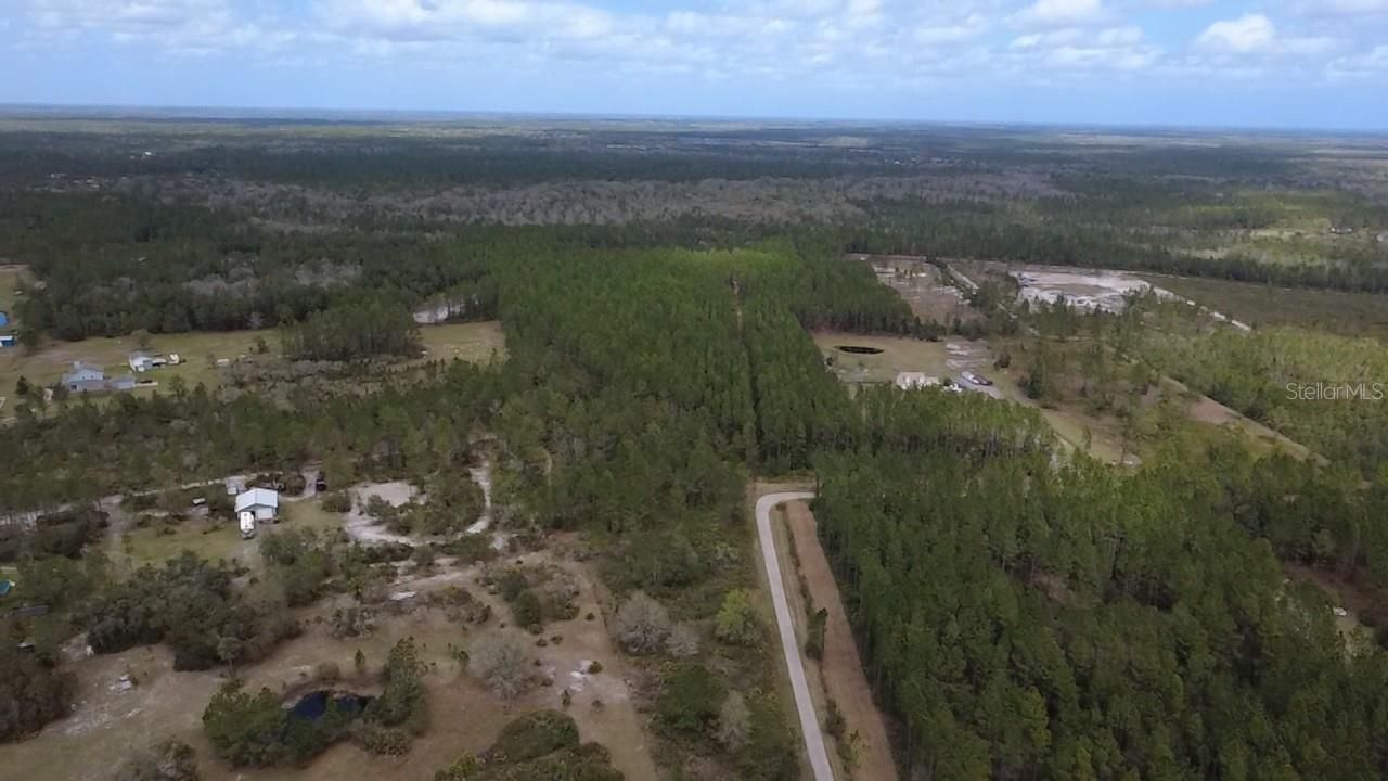 Wild Cur Road, Pierson, FL 32180 Photo