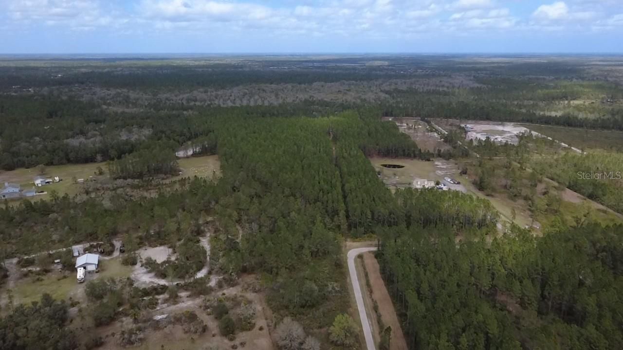 Wild Cur Road, Pierson, FL 32180 Photo