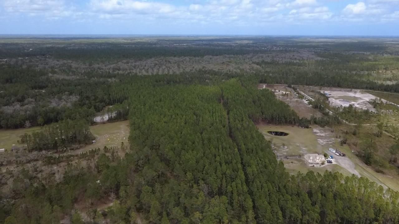 Wild Cur Road, Pierson, FL 32180 Photo