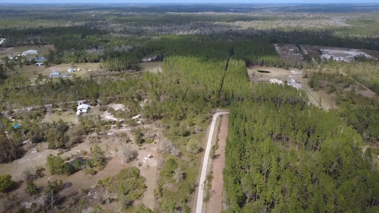 Wild Cur Road, Pierson, FL 32180 Photo