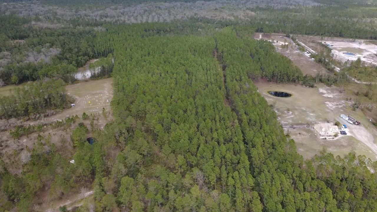 Wild Cur Road, Pierson, FL 32180 Photo