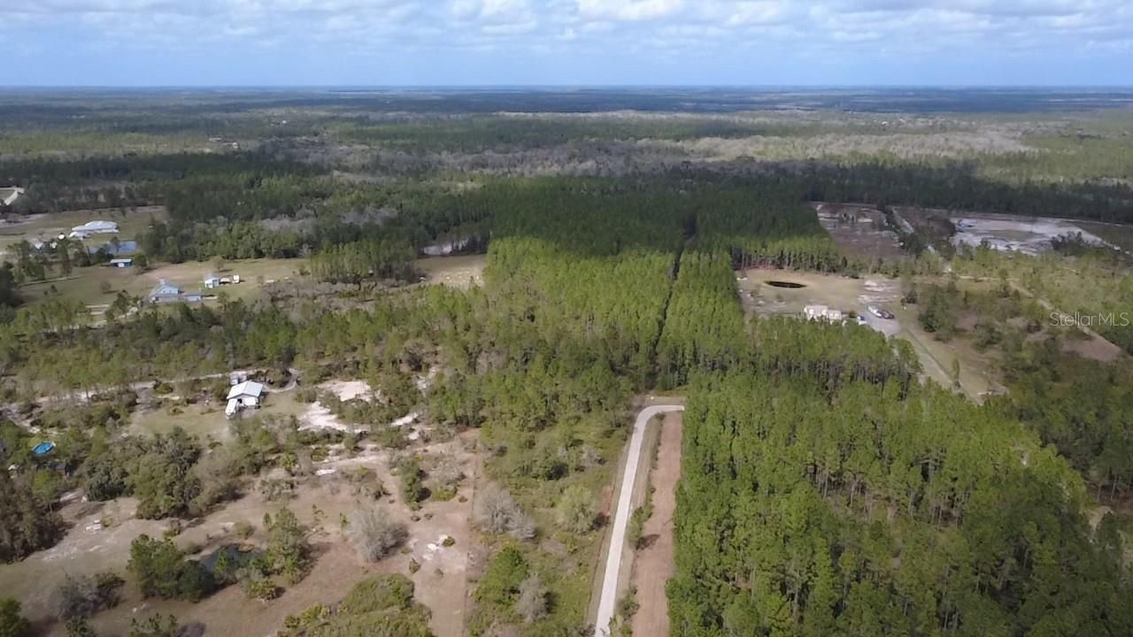 Wild Cur Road, Pierson, FL 32180 Photo