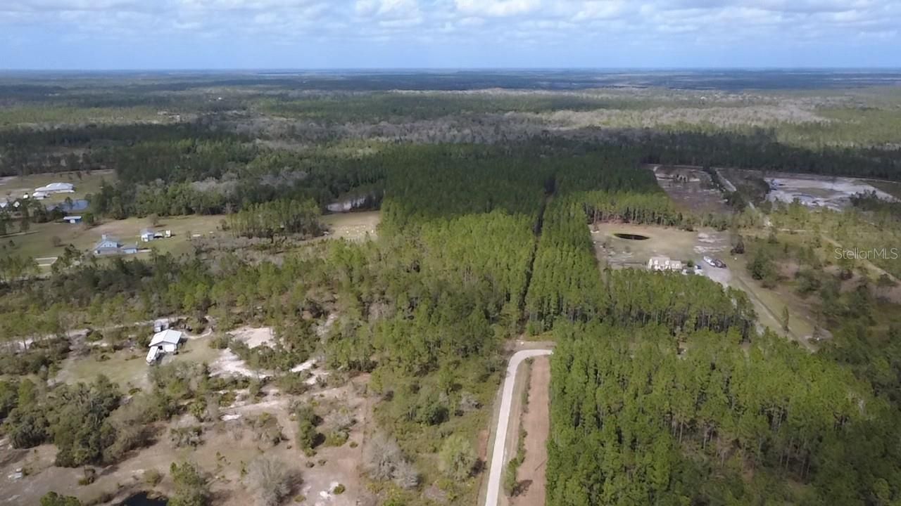 Wild Cur Road, Pierson, FL 32180 Photo