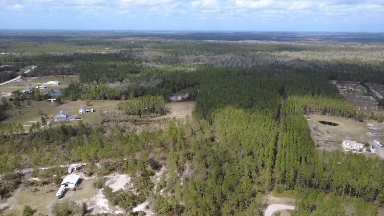 Wild Cur Road, Pierson, FL 32180 Photo