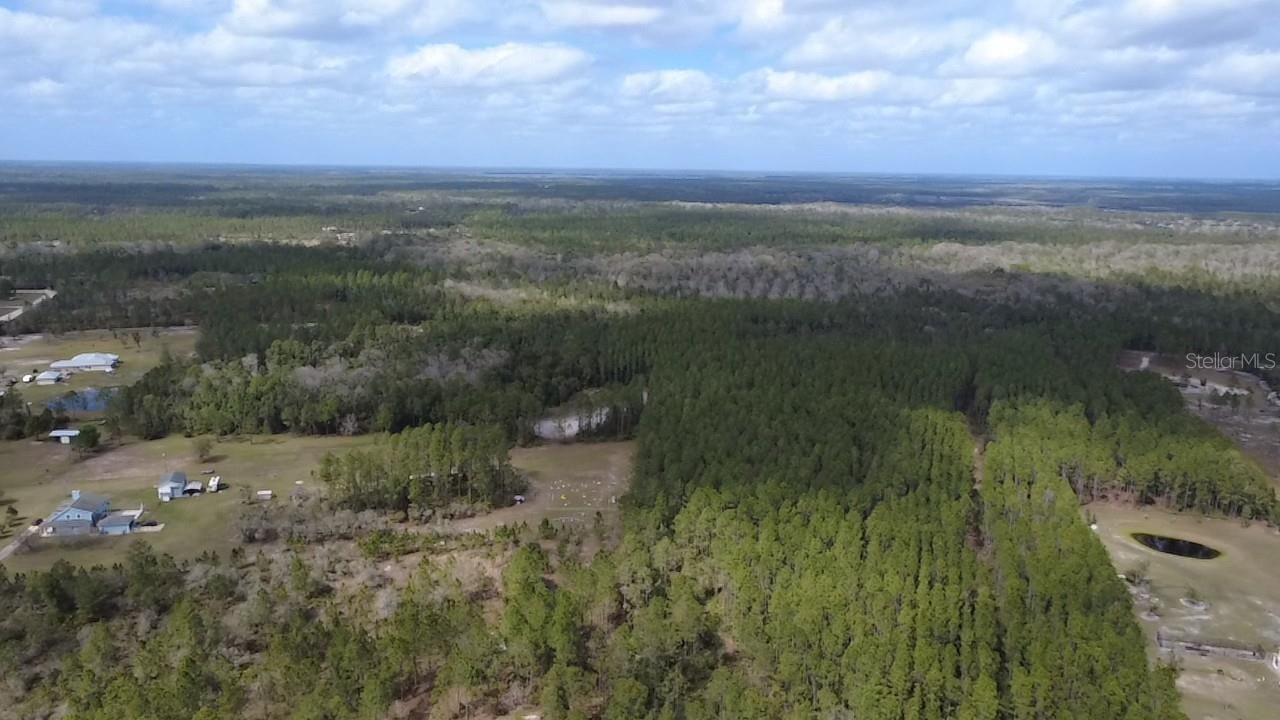 Wild Cur Road, Pierson, FL 32180 Photo