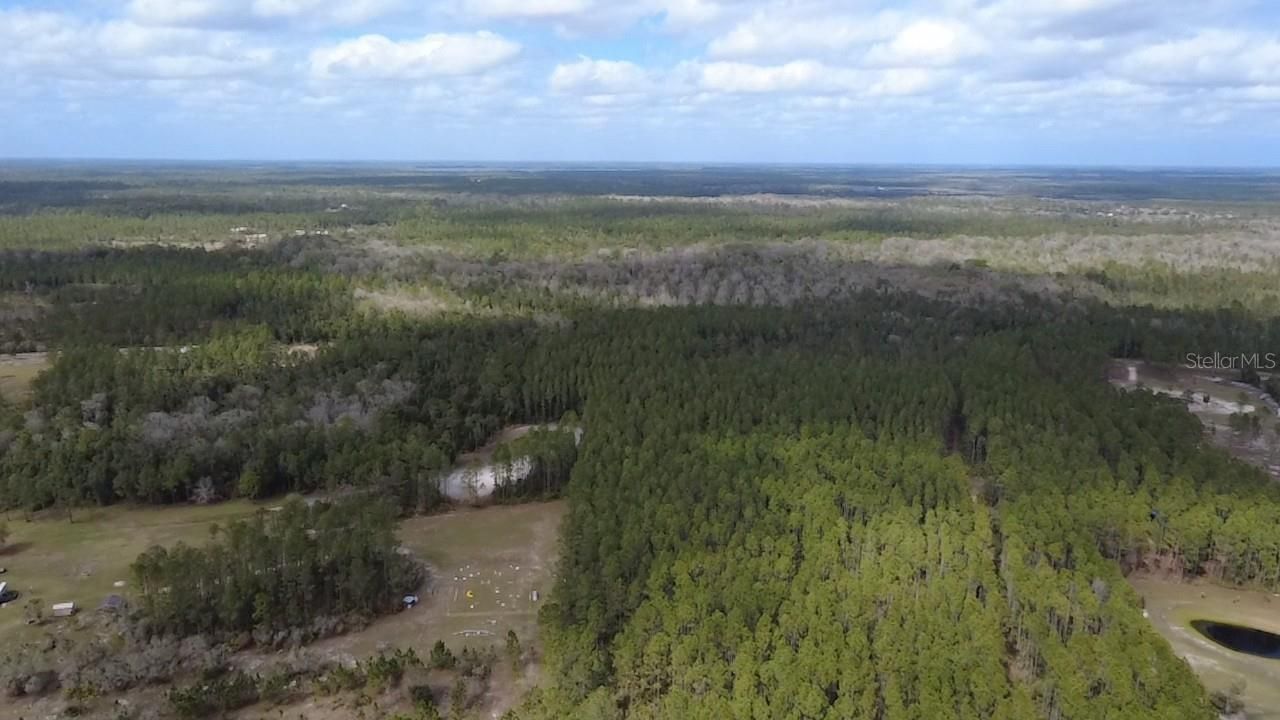 Wild Cur Road, Pierson, FL 32180 Photo