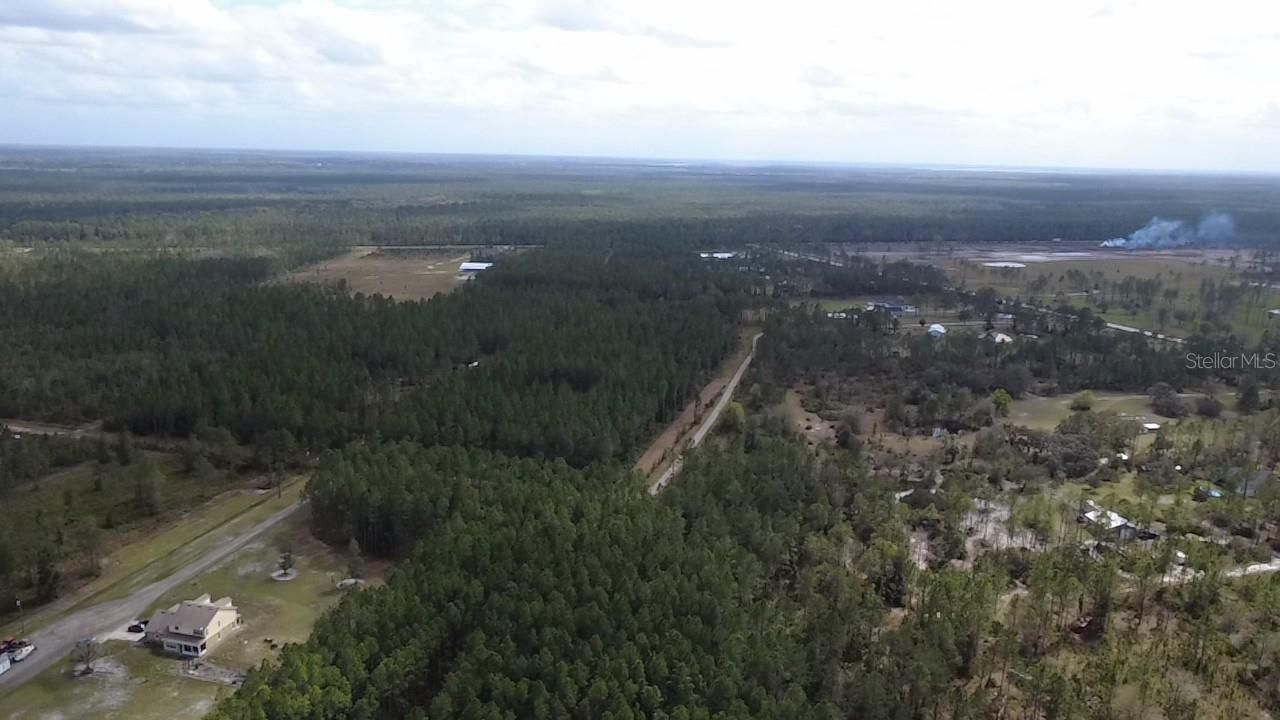 Wild Cur Road, Pierson, FL 32180 Photo