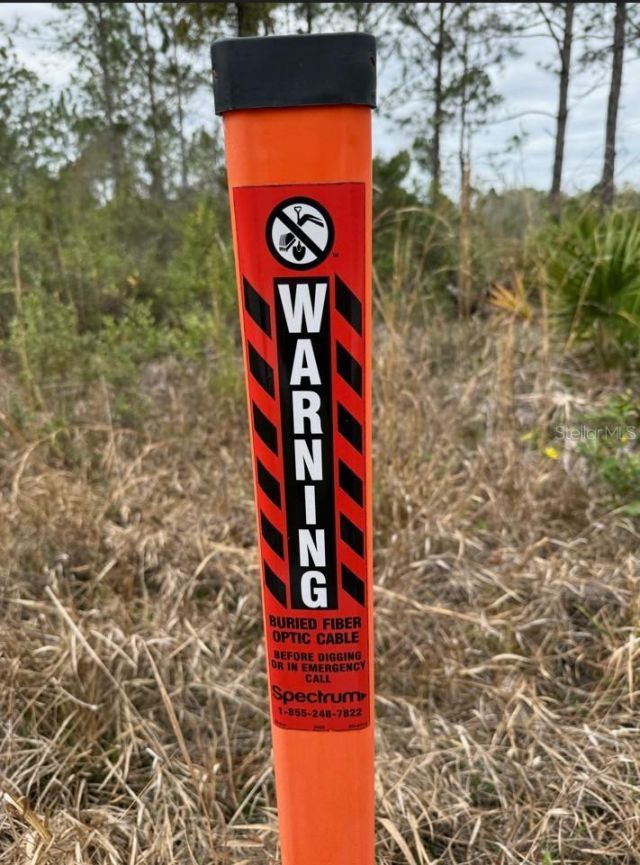 Wild Cur Road, Pierson, FL 32180 Photo