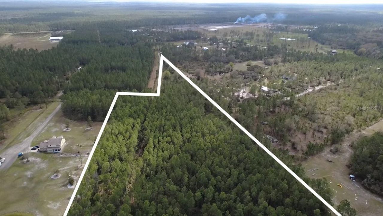 Wild Cur Road, Pierson, FL 32180 Photo