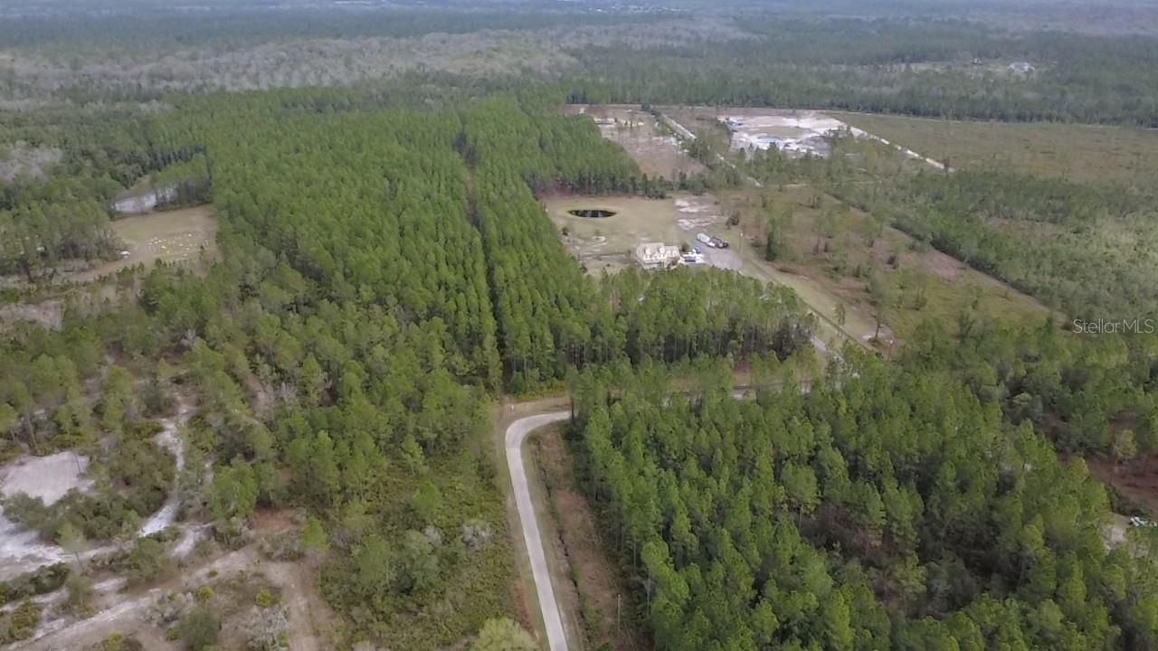 Wild Cur Road, Pierson, FL 32180 Photo