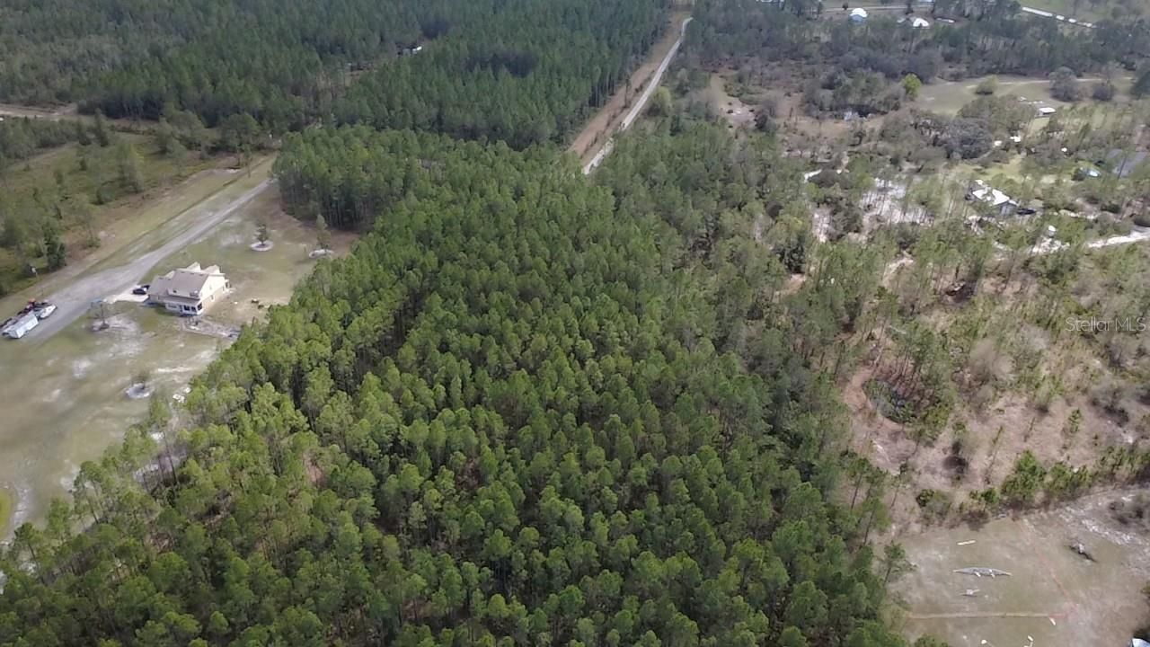 Wild Cur Road, Pierson, FL 32180 Photo