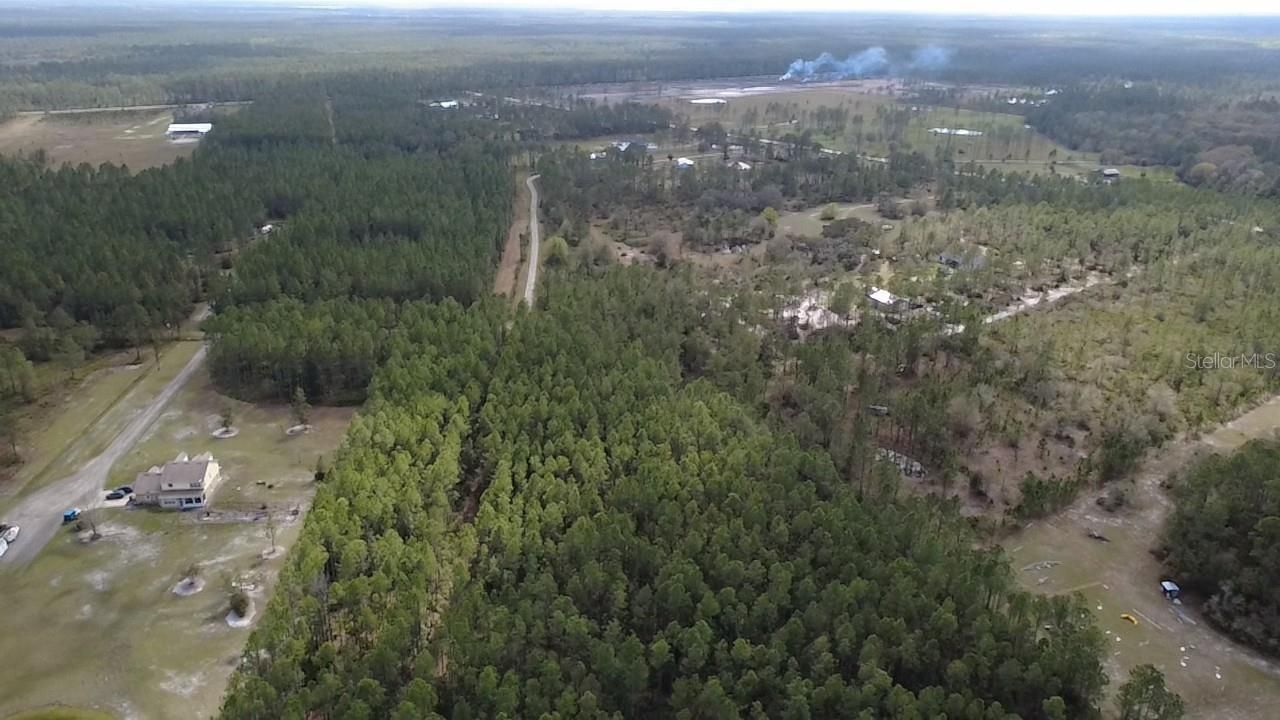 Wild Cur Road, Pierson, FL 32180 Photo