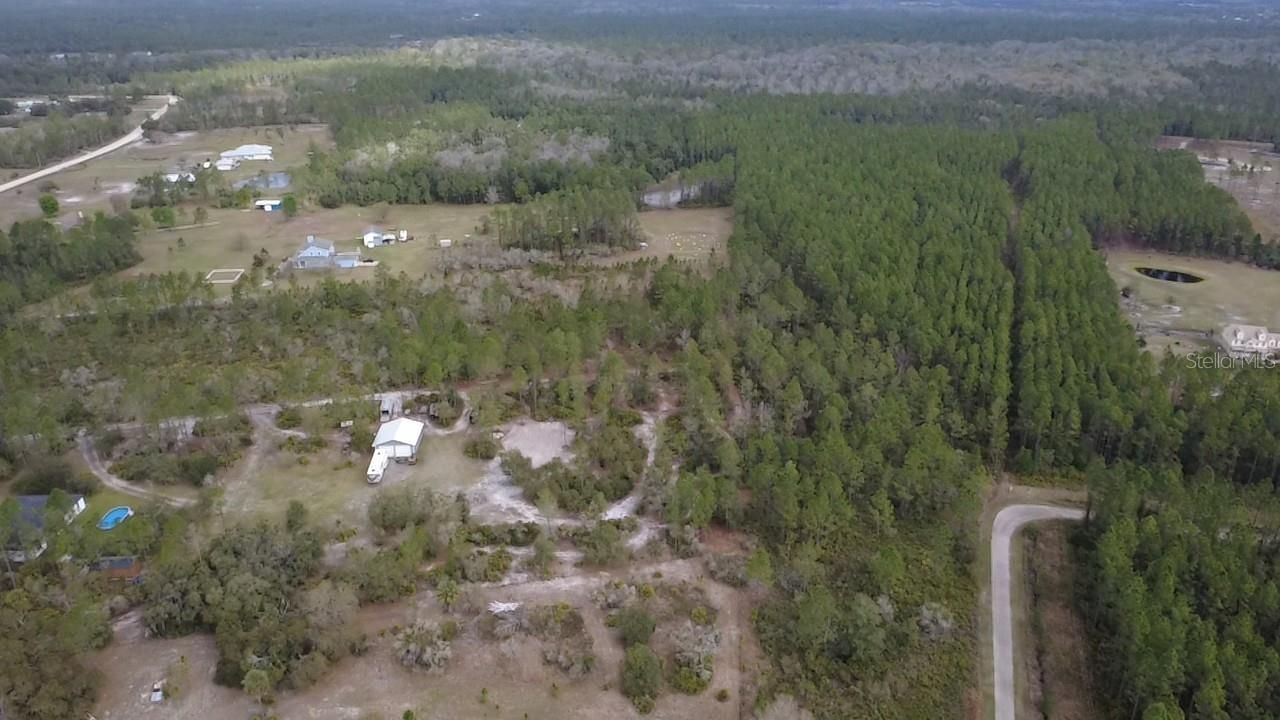 Wild Cur Road, Pierson, FL 32180 Photo