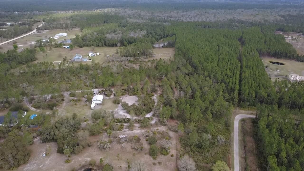 Wild Cur Road, Pierson, FL 32180 Photo