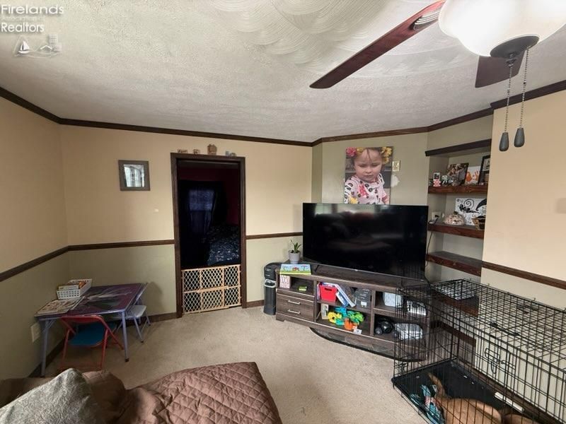 98 Adams Street, McCutchenville, OH 44844 Photo 4