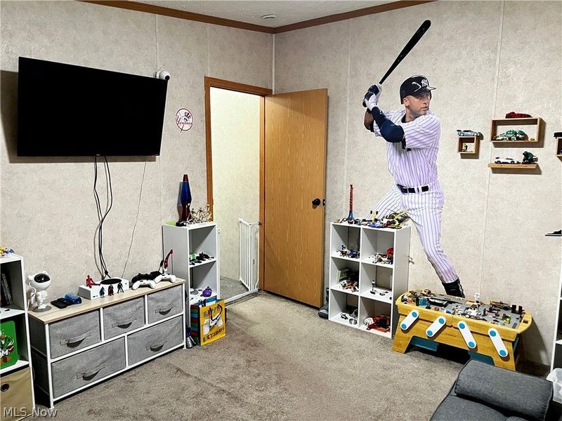 224 Woodvue Lane, Wintersville, OH 43953 Photo 37