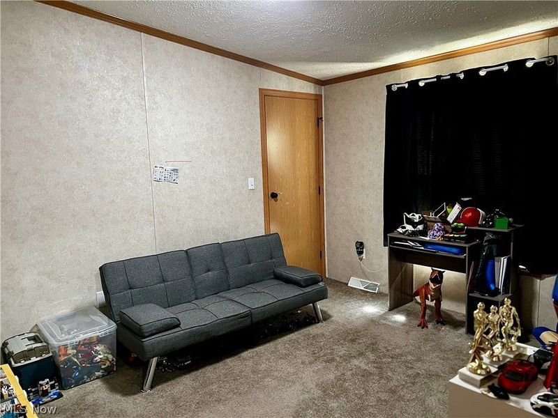 224 Woodvue Lane, Wintersville, OH 43953 Photo 39