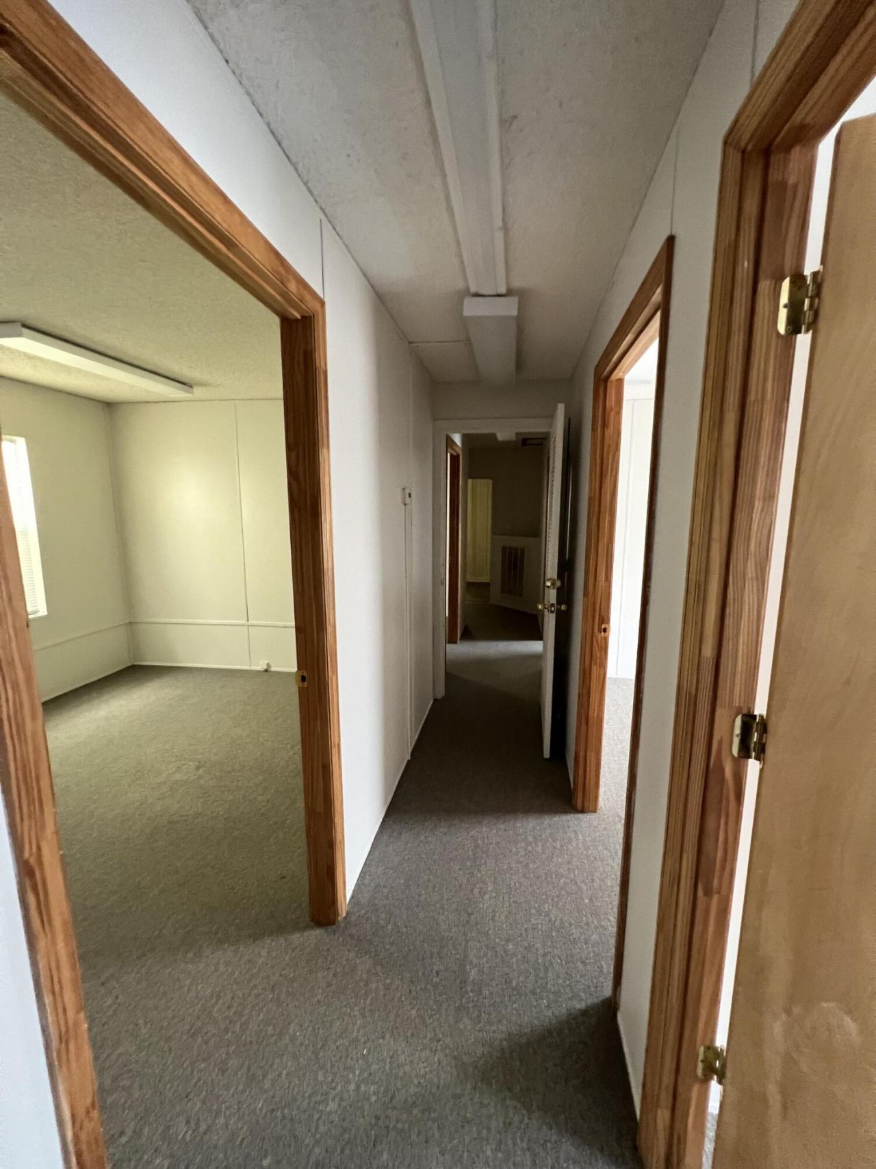 2728 Spruill Avenue  Photo 30