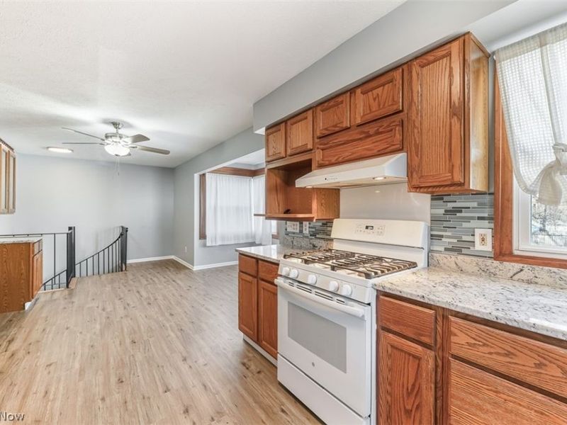 85 Maple Drive, Hudson, OH 44236 Photo 9