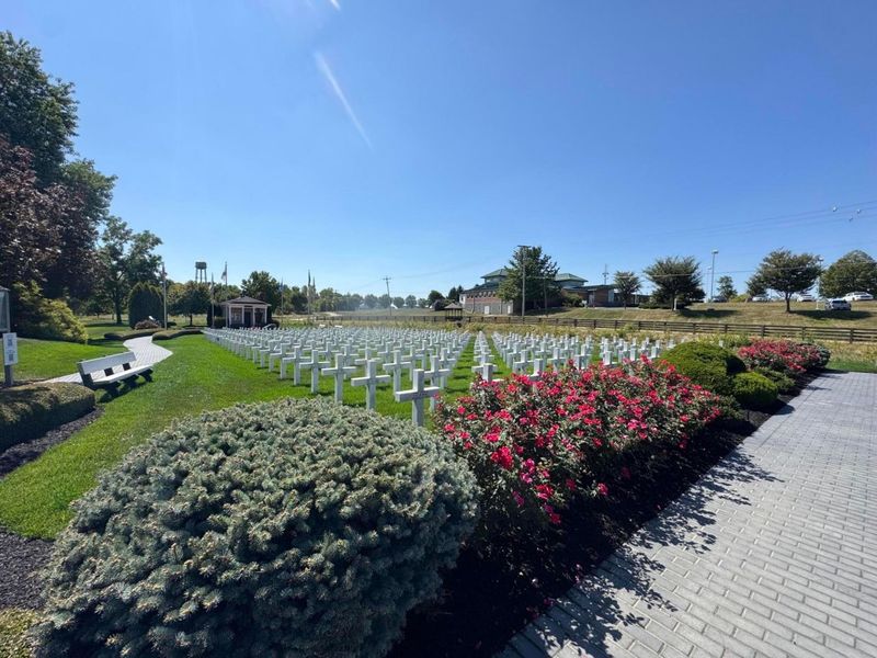 79 W Cherry Street, Sunbury, OH 43074 Photo 15