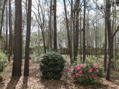 228 Comiskey Park Circle, Summerville, SC 29485