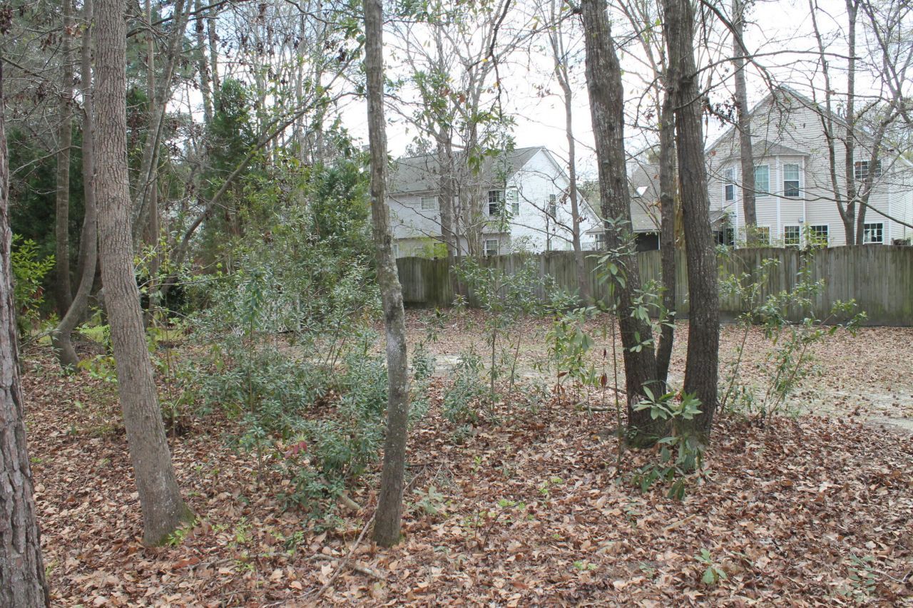 228 Comiskey Park Circle Photo 11