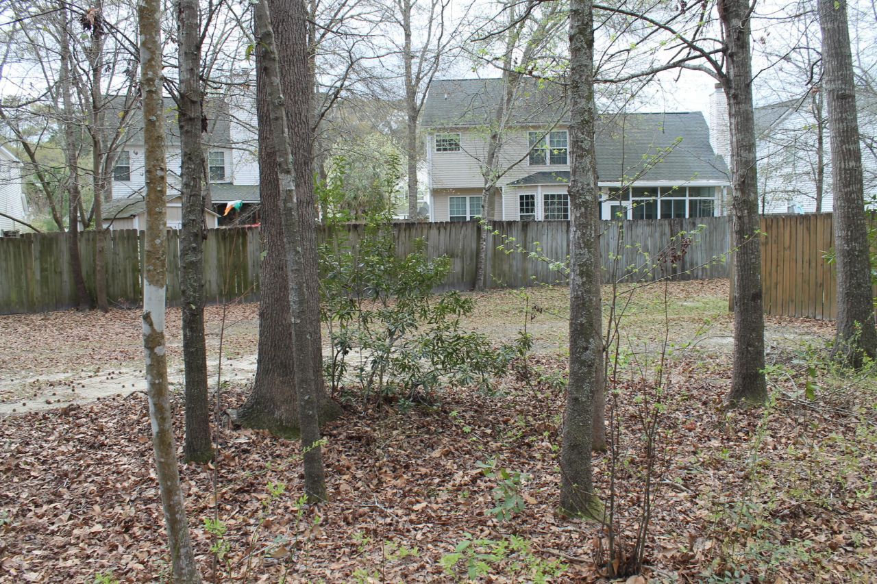 228 Comiskey Park Circle Photo 12