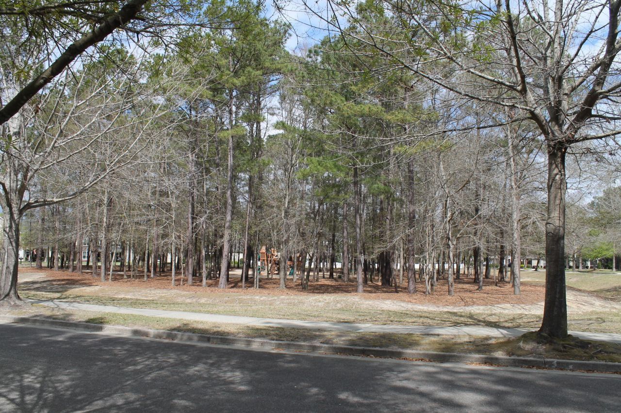 228 Comiskey Park Circle Photo 13