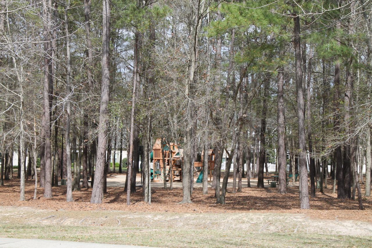 228 Comiskey Park Circle Photo 14