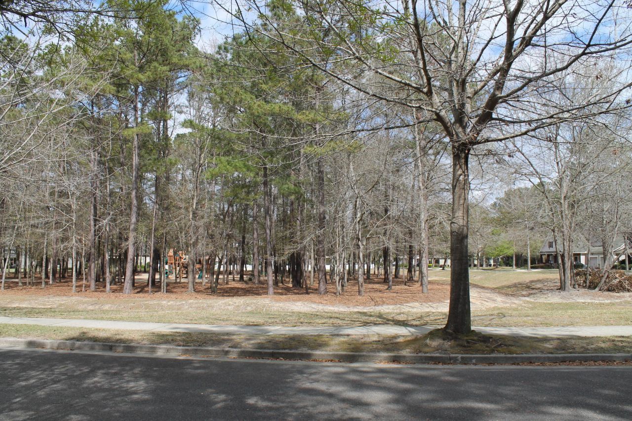 228 Comiskey Park Circle Photo 15