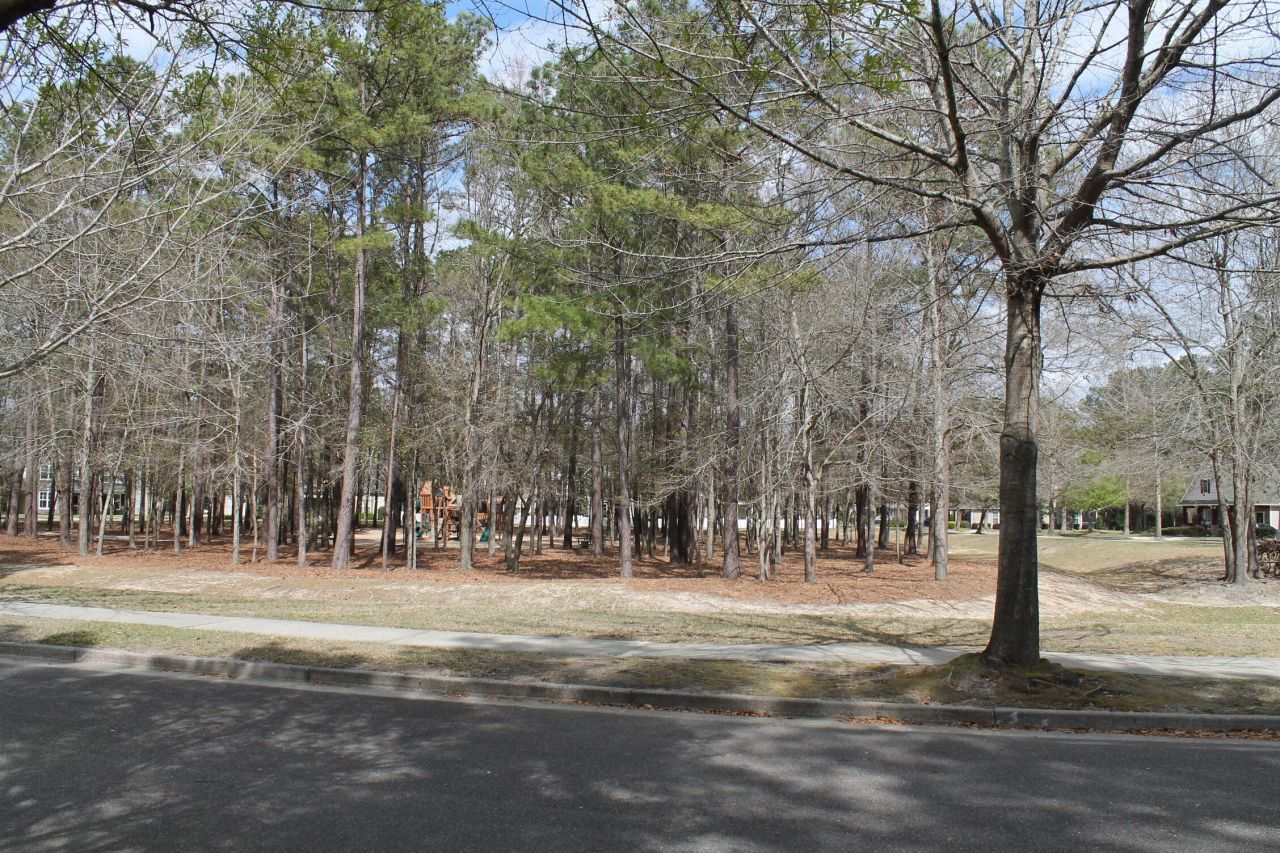 228 Comiskey Park Circle Photo 16