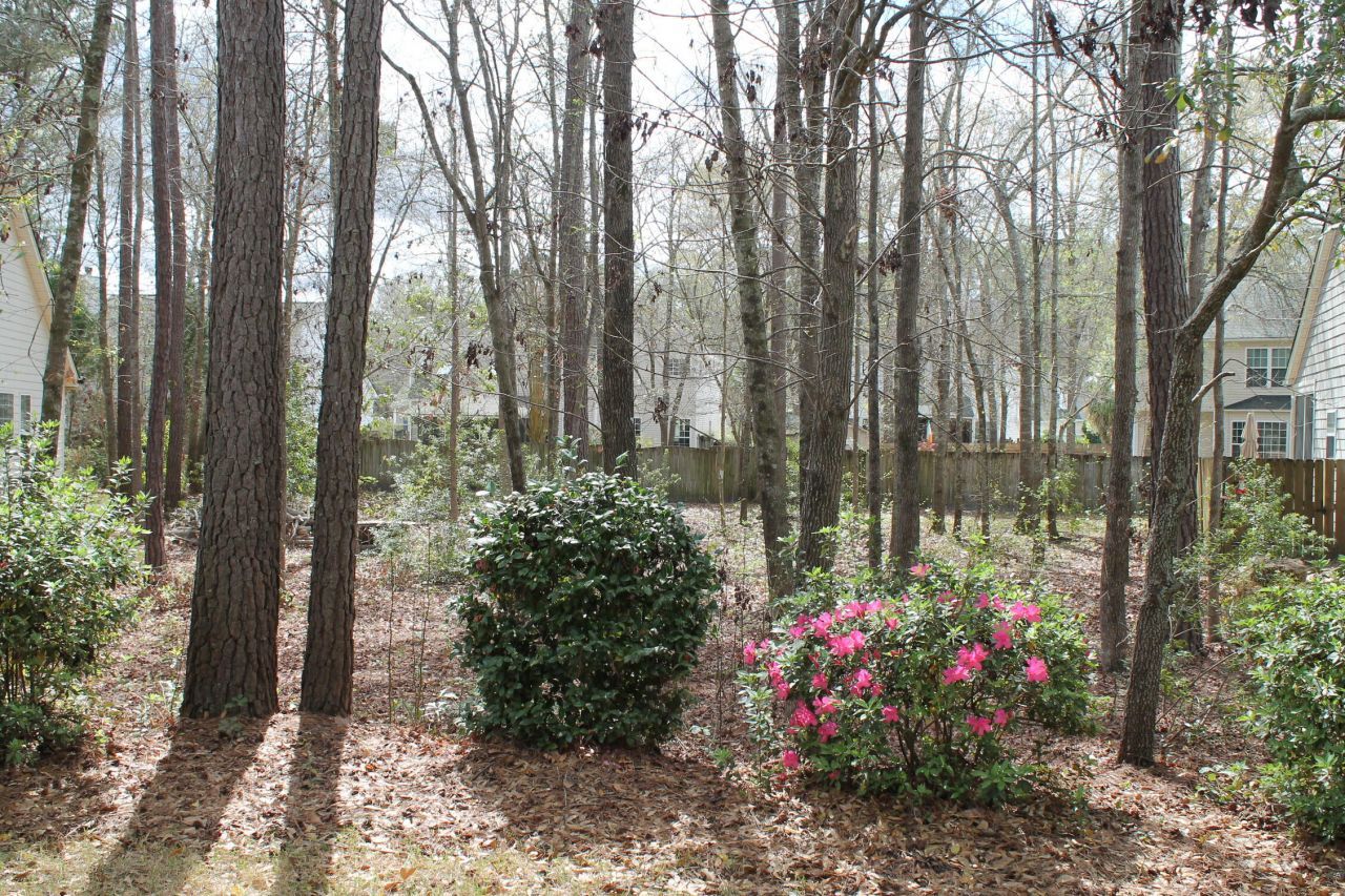 228 Comiskey Park Circle Photo 4