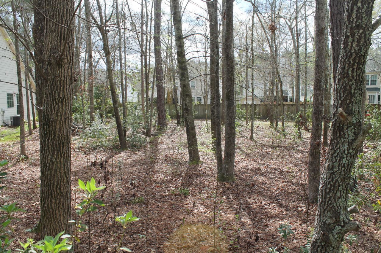 228 Comiskey Park Circle Photo 6