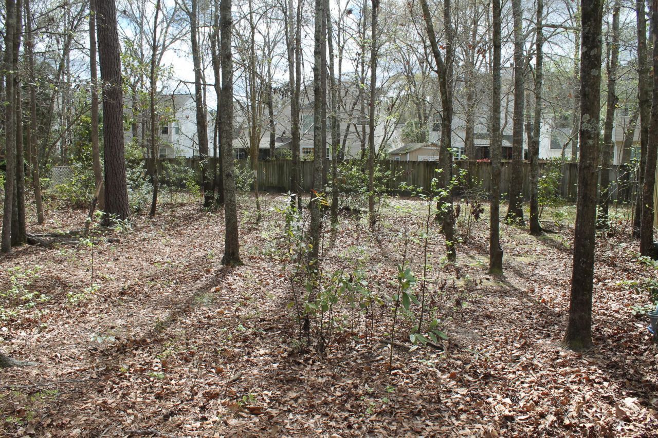 228 Comiskey Park Circle Photo 7