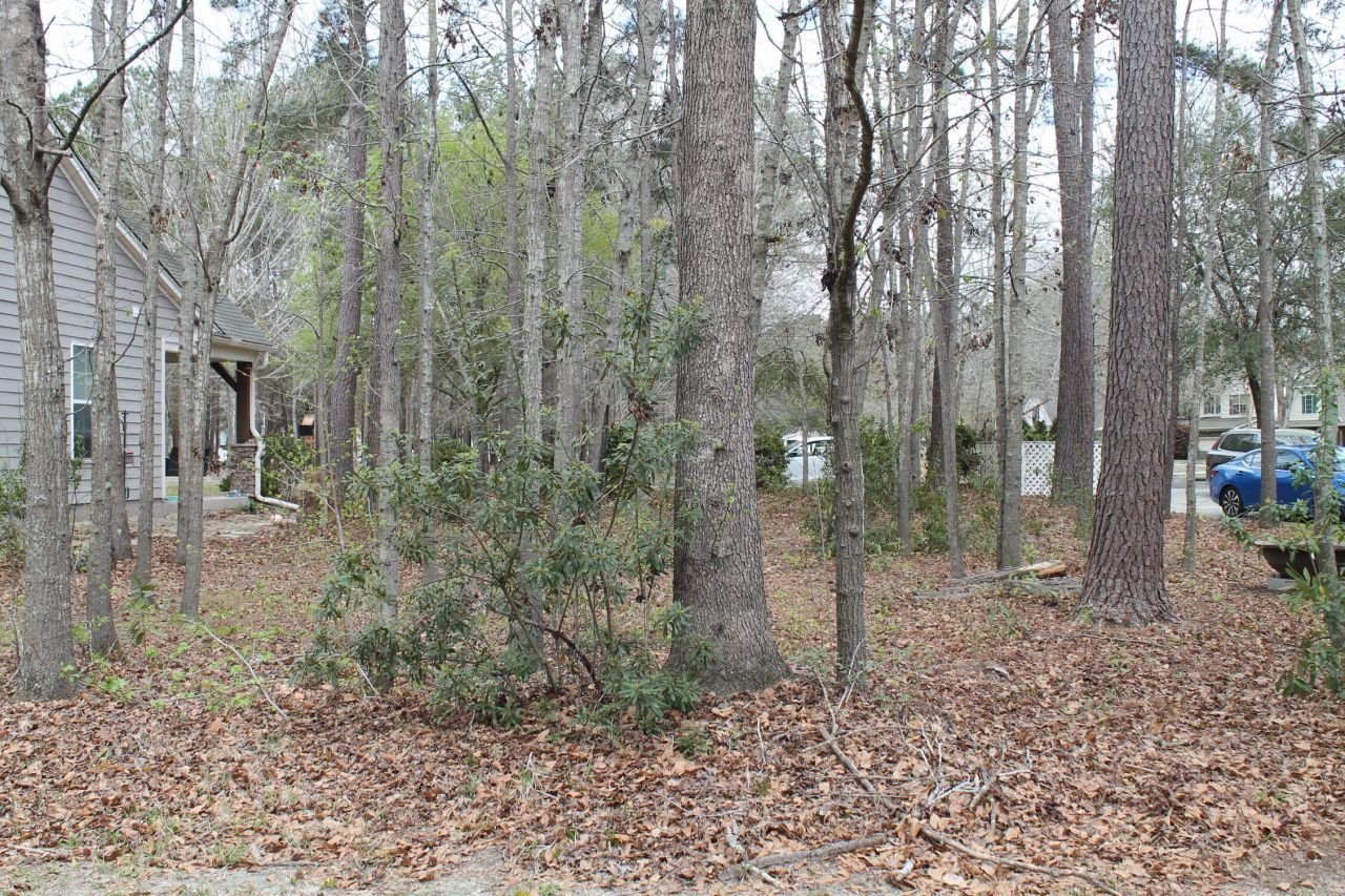 228 Comiskey Park Circle Photo 8