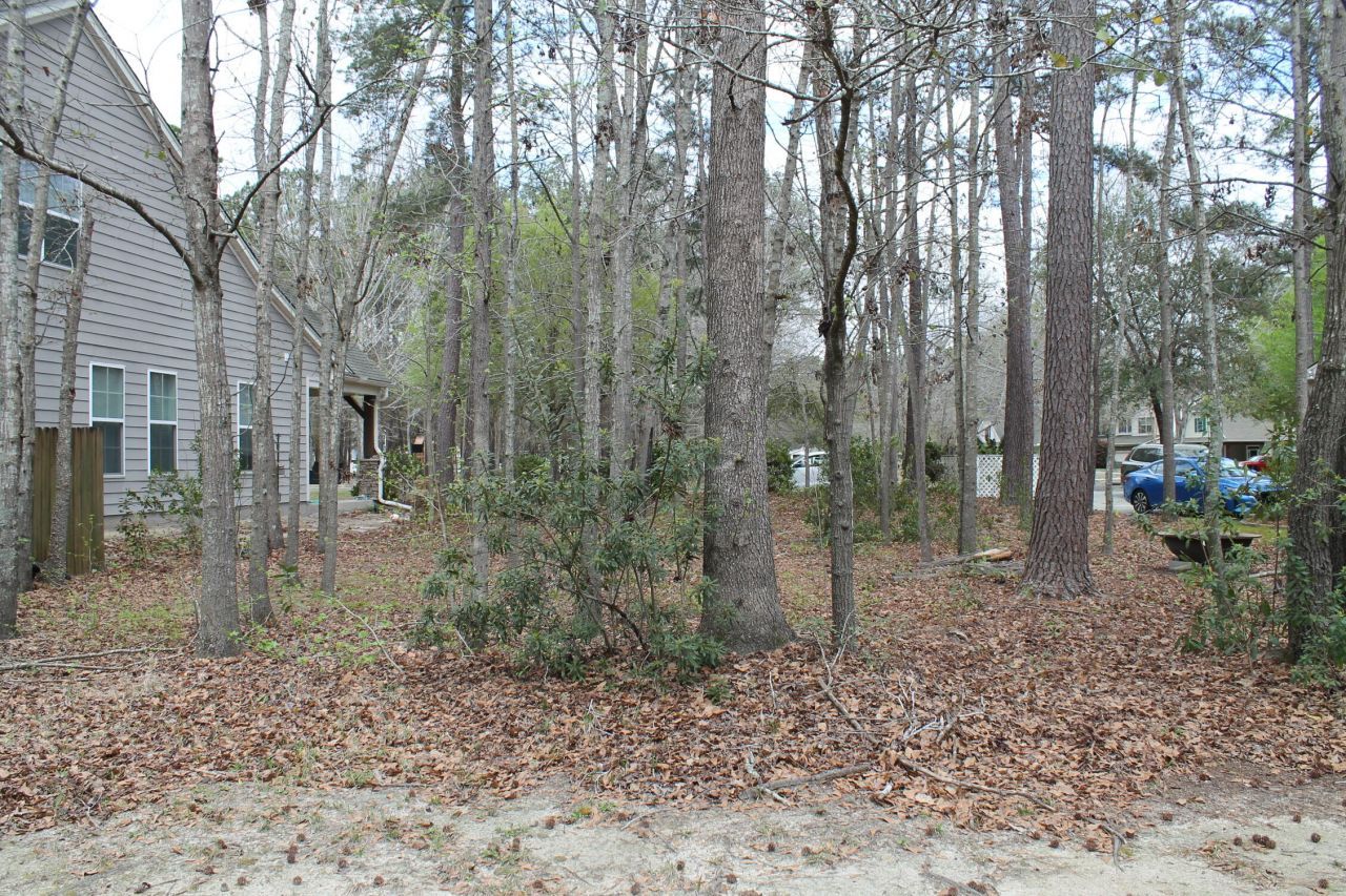 228 Comiskey Park Circle Photo 9