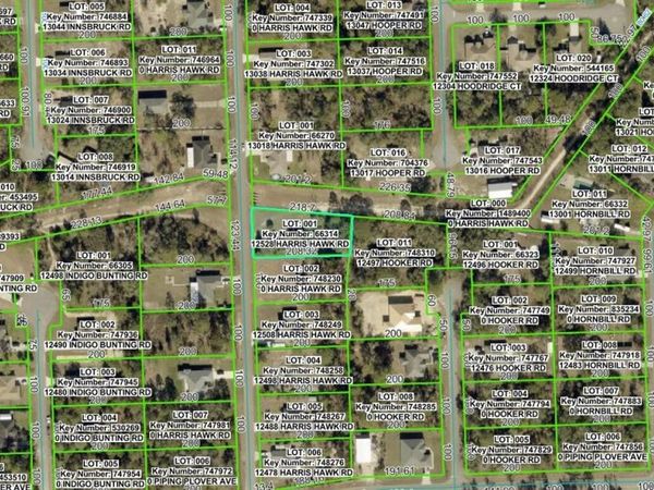 12528 HARRIS HAWK ROAD , WEEKI WACHEE, FL 34614