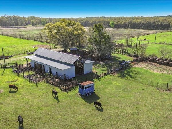 855 NE 107TH ROAD, OXFORD, FL 34484