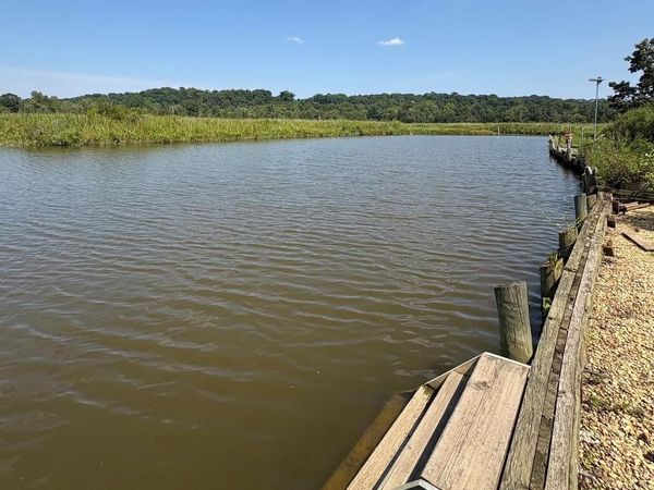 SHIRLEY BOULEVARD, PORT TOBACCO, MD 20677