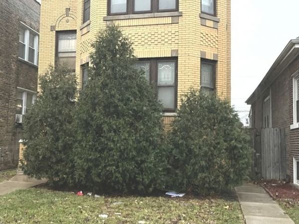 2904 N Linder Avenue , Unit 2, Chicago, IL 60641