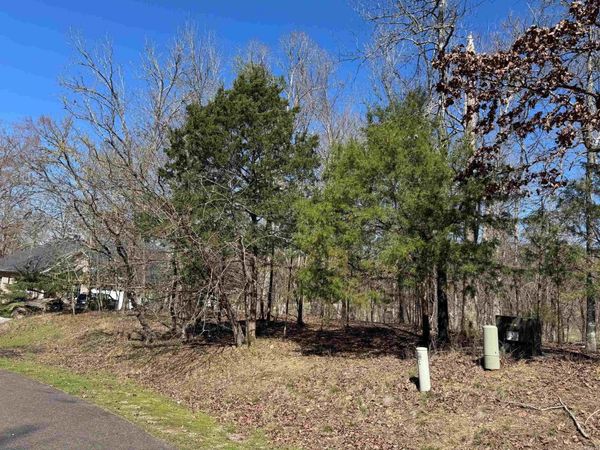 10 Princesa Place, Hot Springs Village, AR 71909
