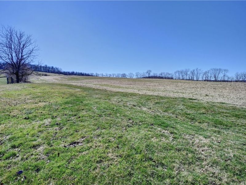 29100 Flat Run Road, Danville, OH 43014 Photo 11