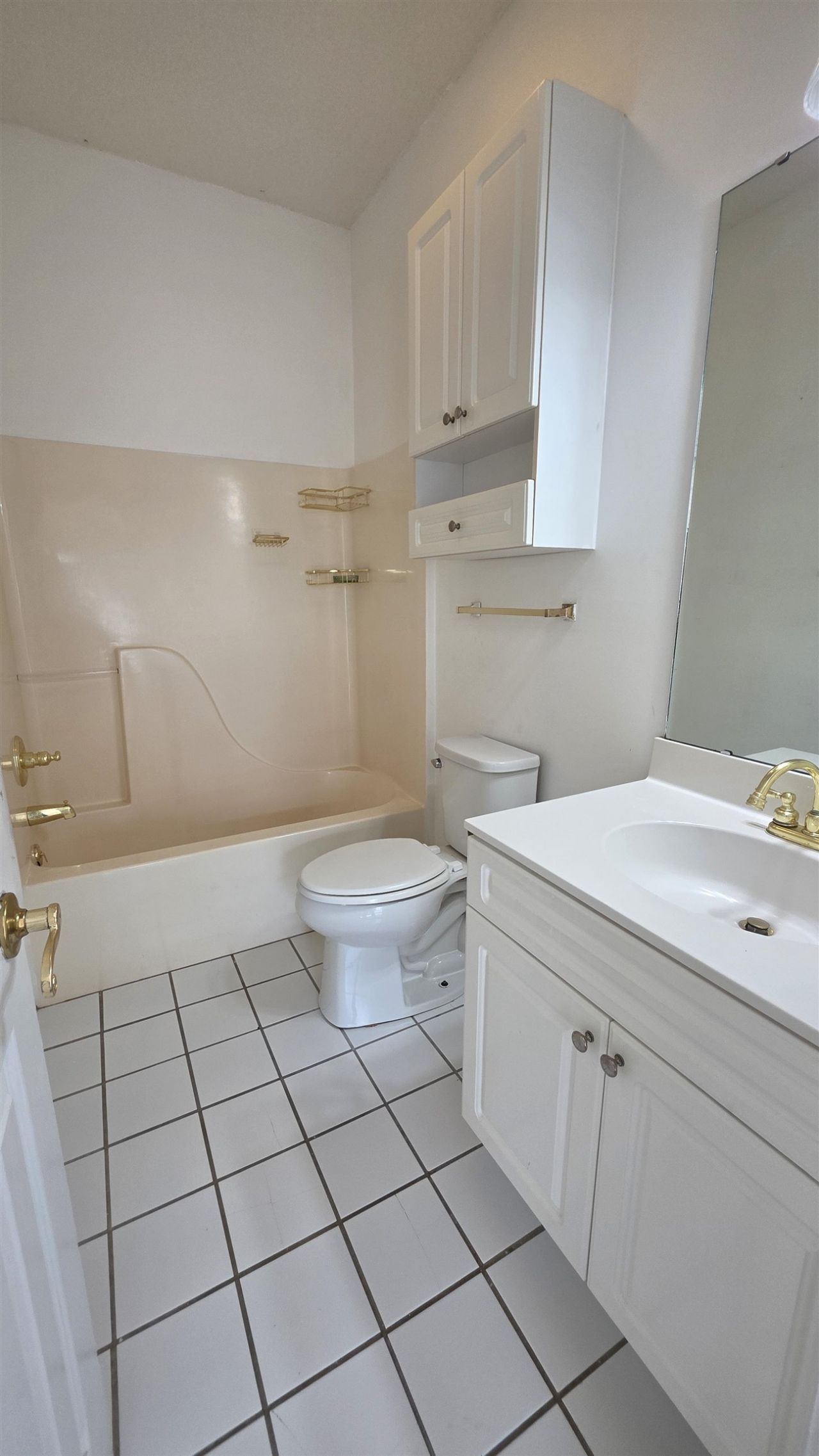 4687 Wild Iris Dr. Photo 37