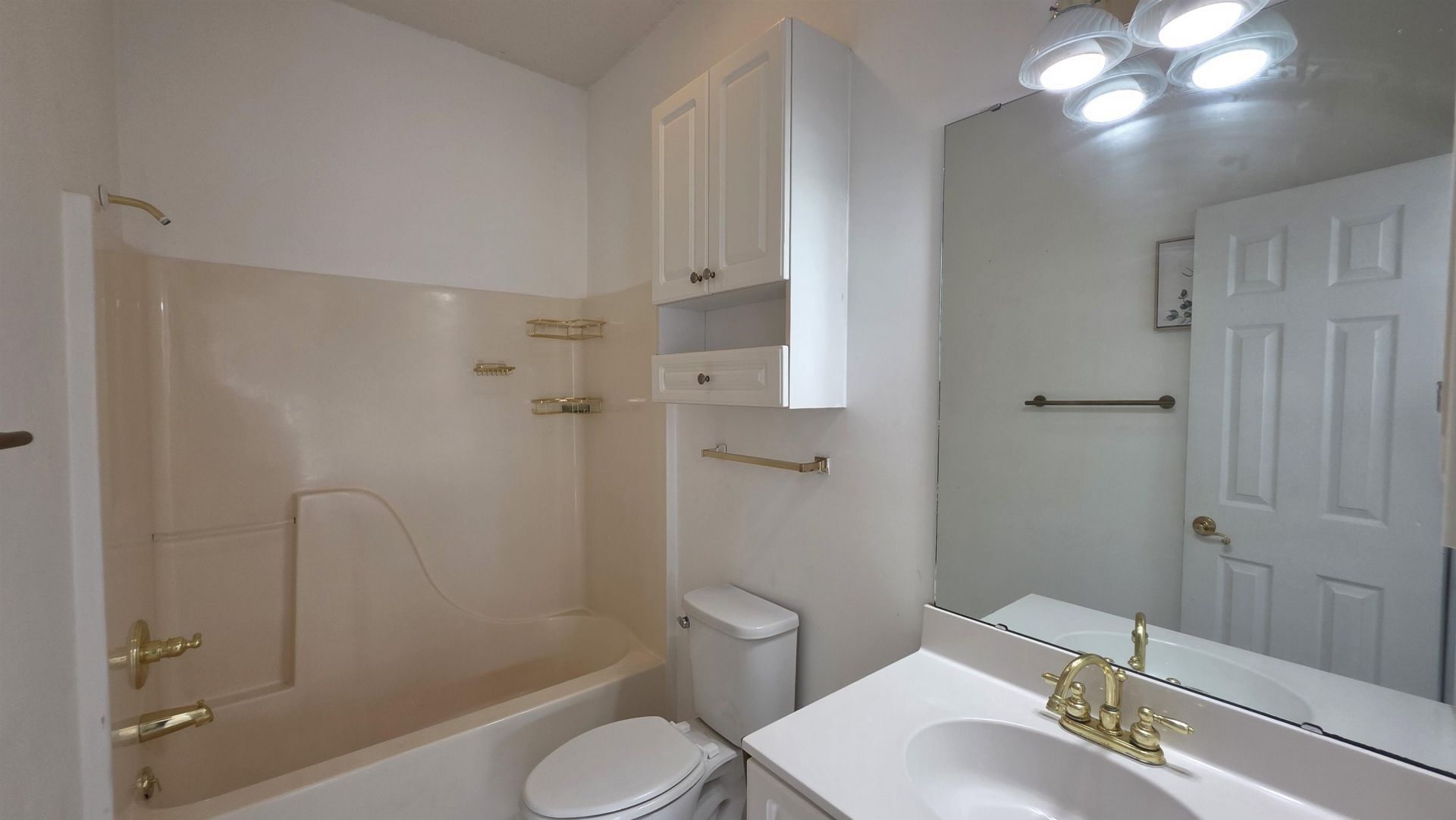 4687 Wild Iris Dr. Photo 39