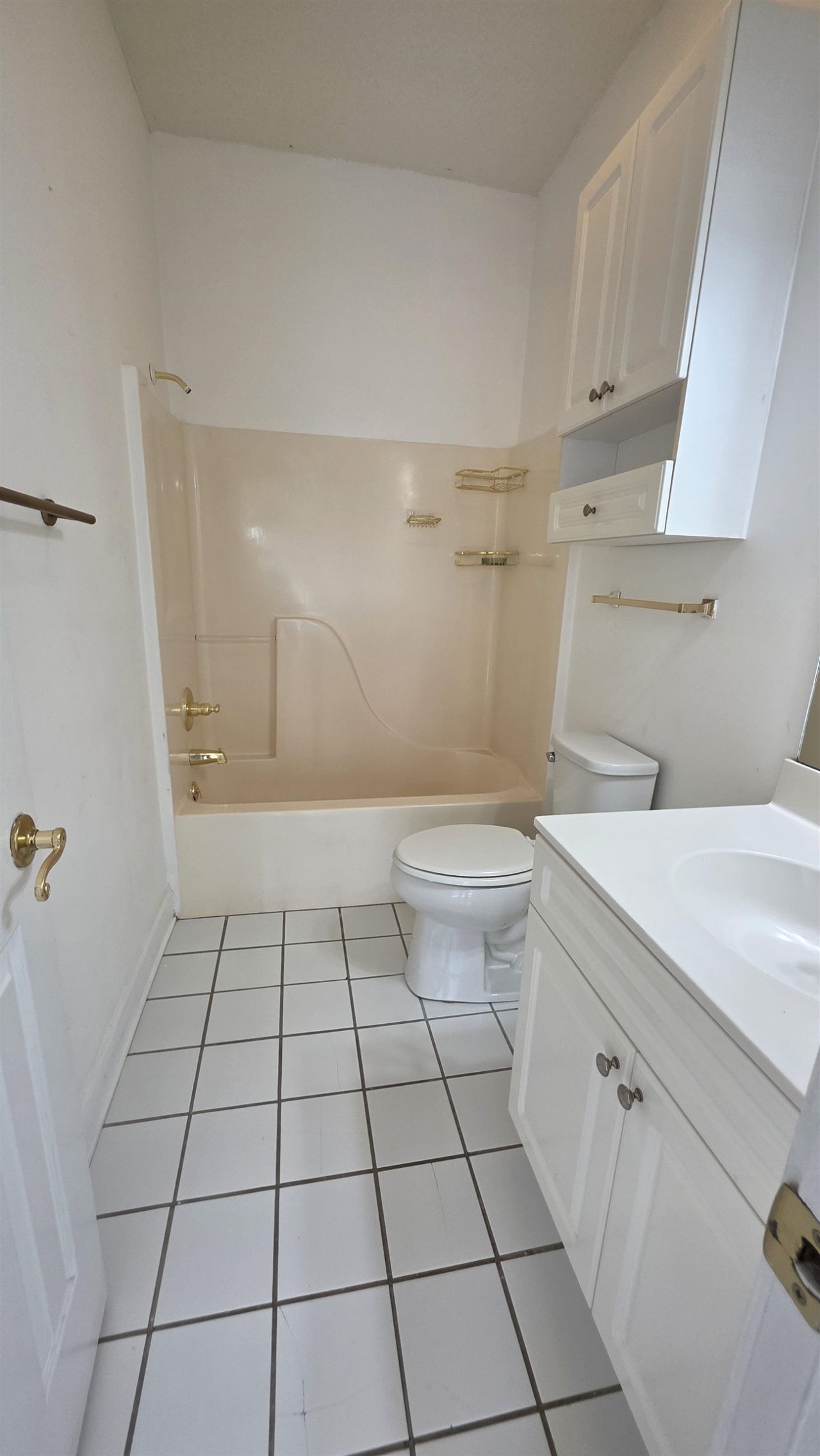 4687 Wild Iris Dr. Photo 42