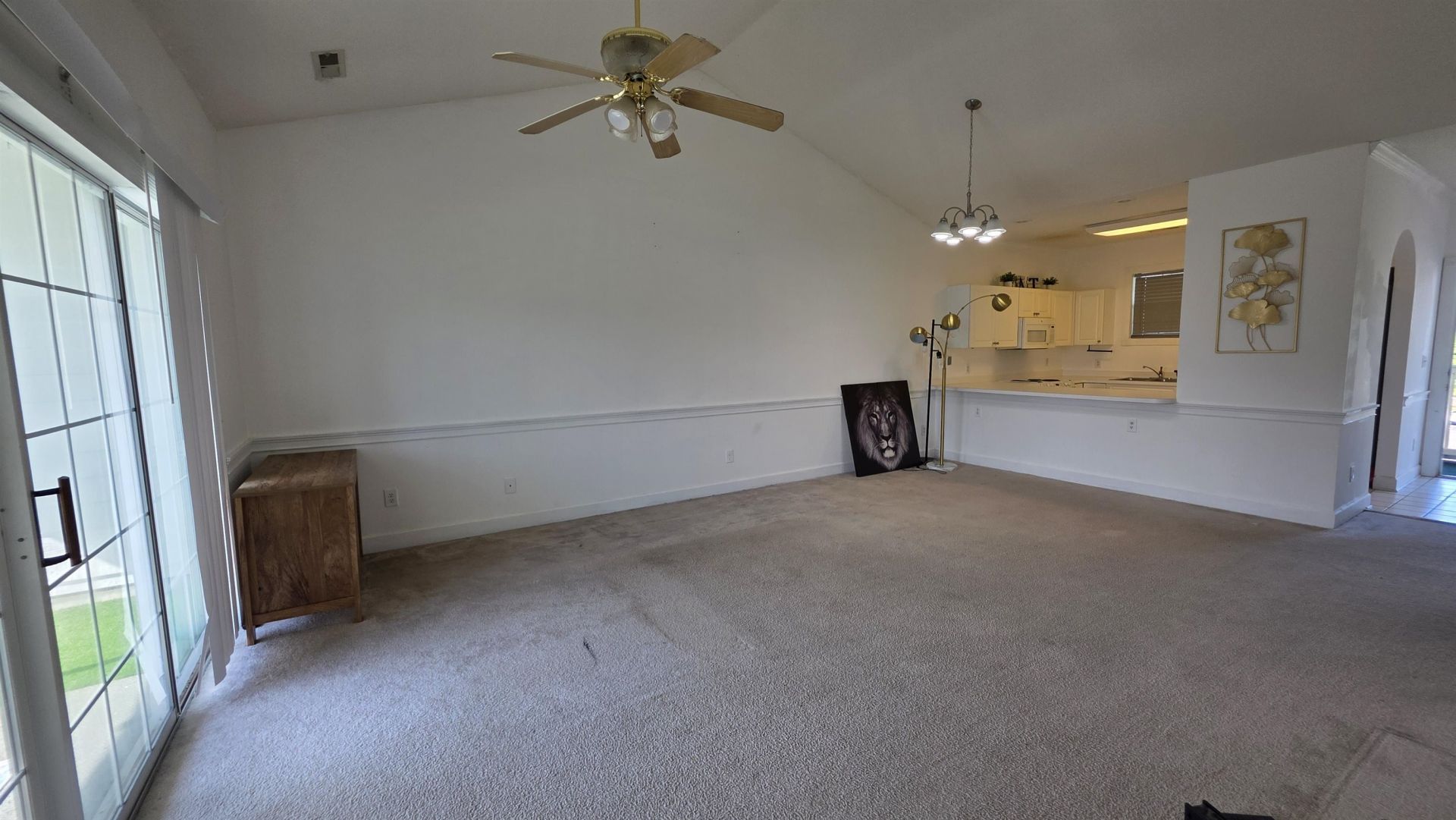 4687 Wild Iris Dr. Photo 45