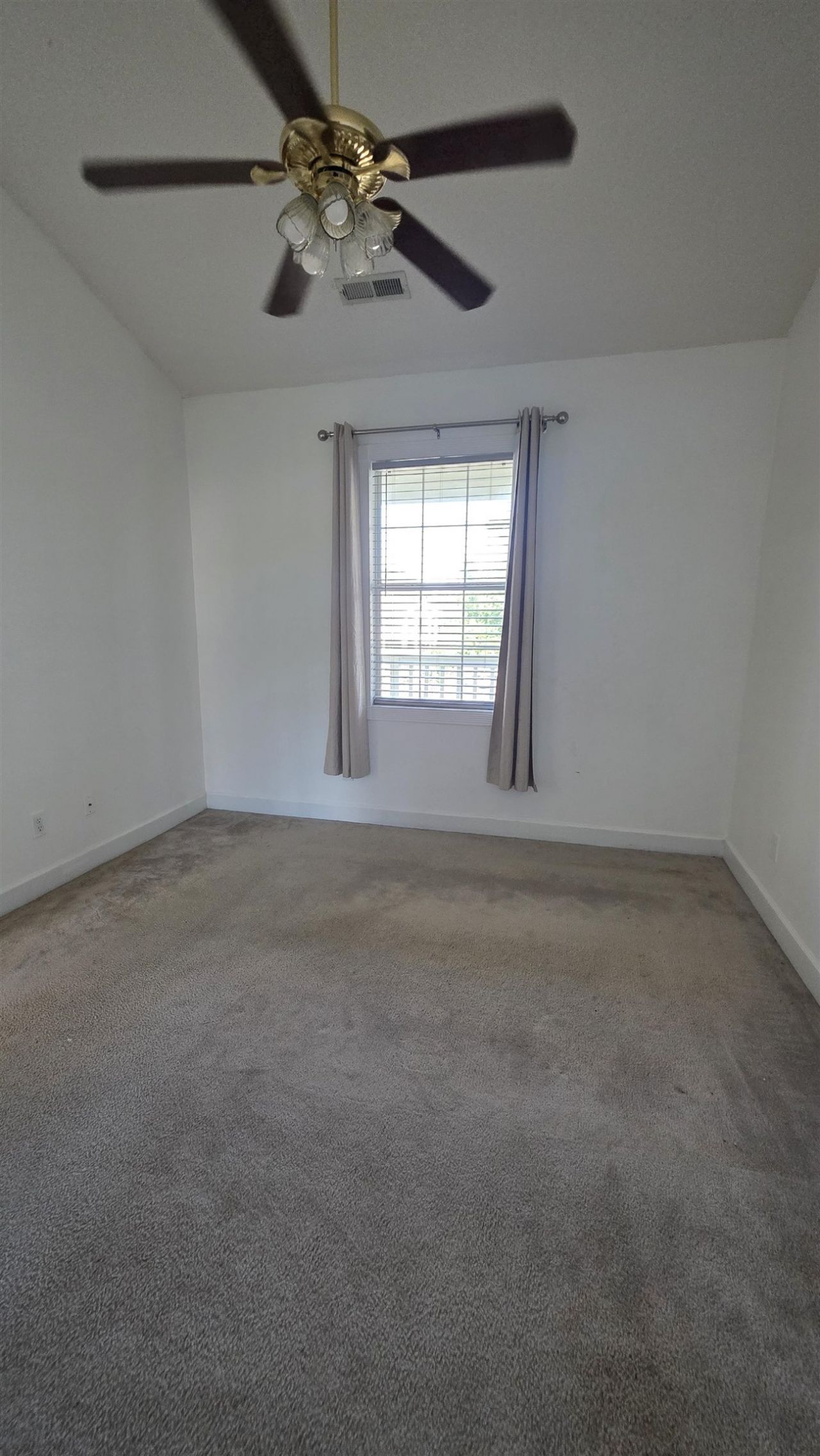 4687 Wild Iris Dr. Photo 47