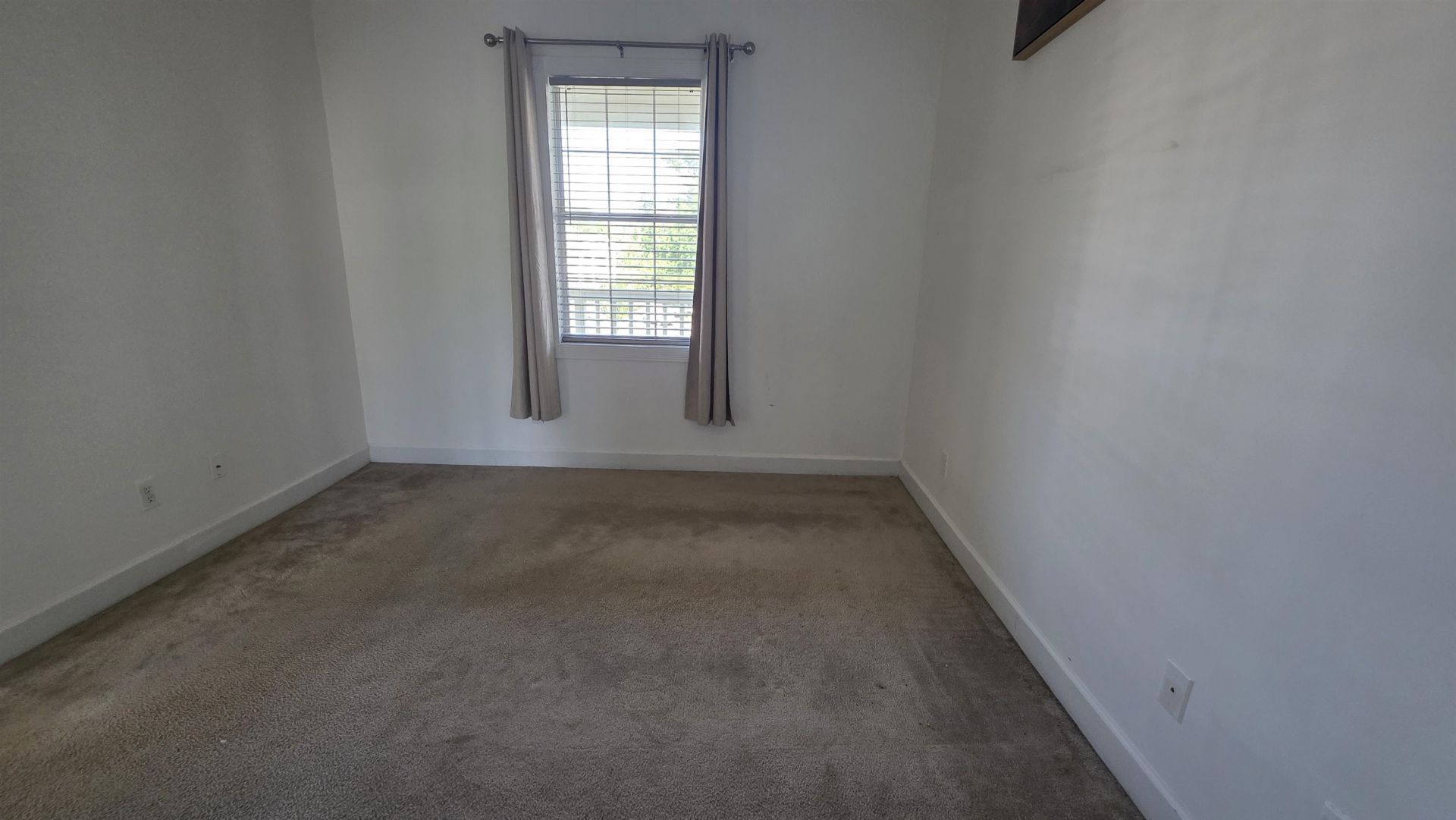 4687 Wild Iris Dr. Photo 48