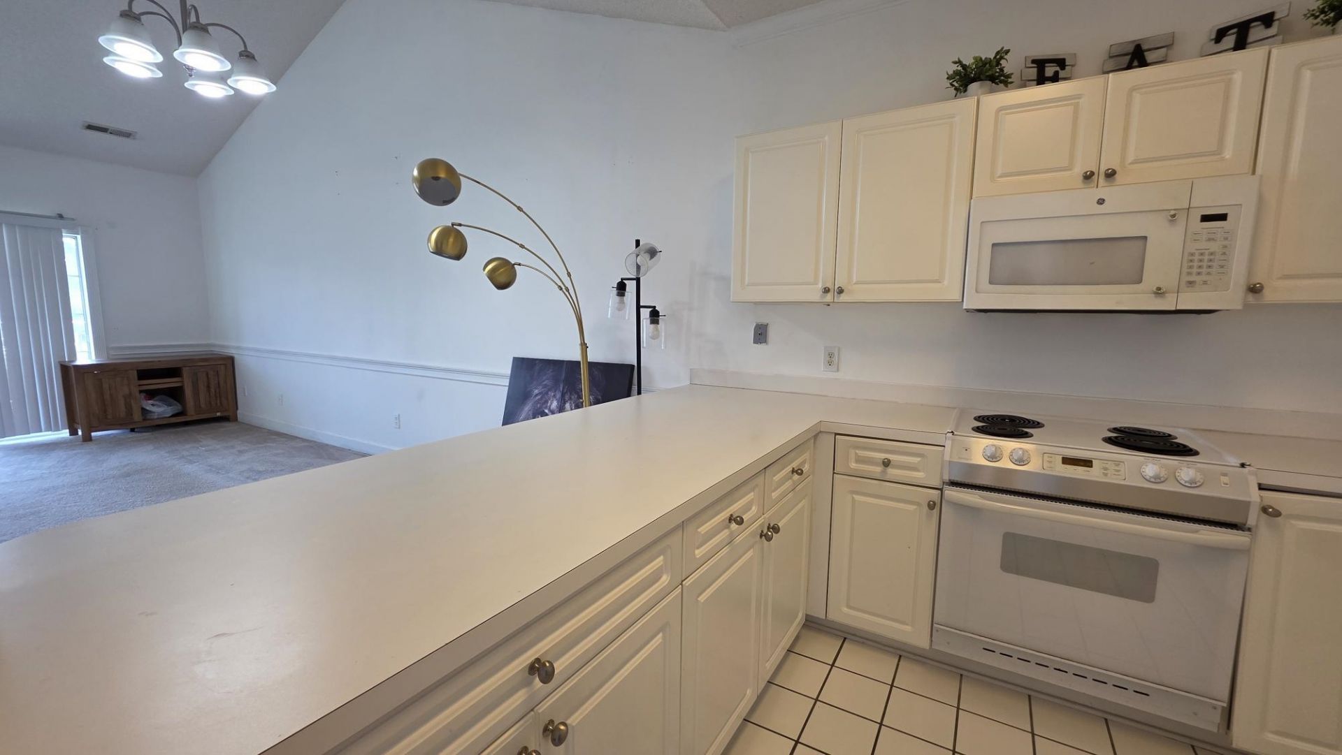4687 Wild Iris Dr. Photo 52