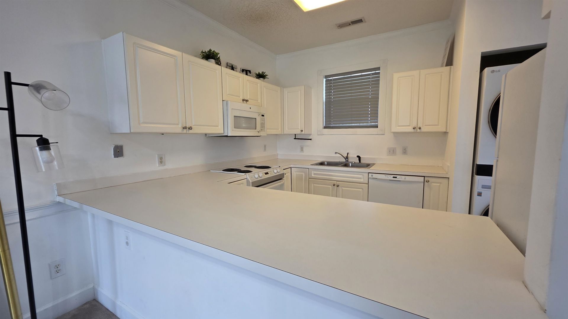 4687 Wild Iris Dr. Photo 56